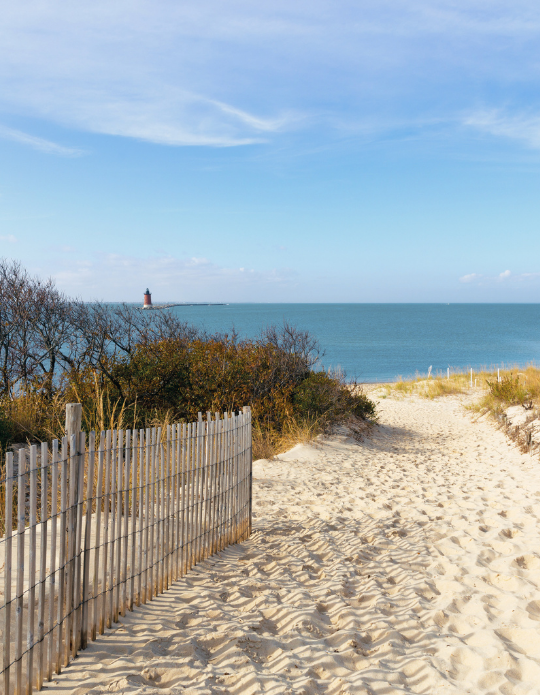 Cape Henlopen State Park Path Cape Henlopen State Park Path