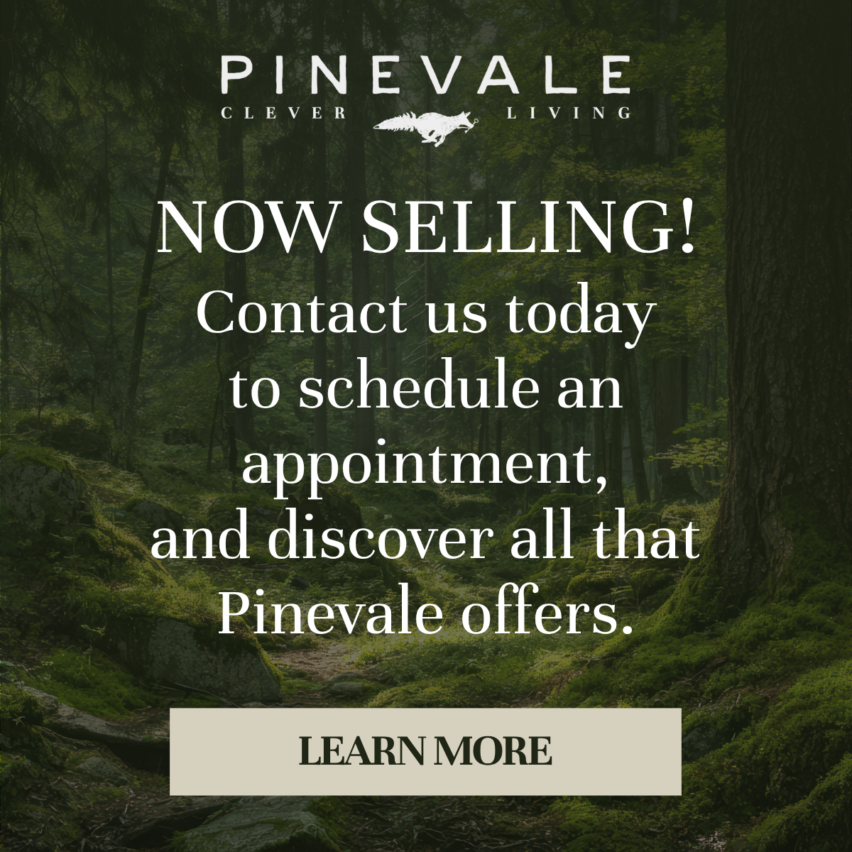 Pinevale Popup Pinevale Popup
